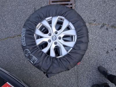 Renault Arkana Gebrauchtwagen