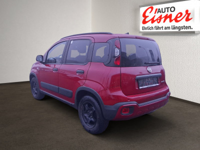 Fiat Panda Gebrauchtwagen