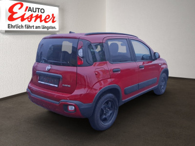 Fiat Panda Gebrauchtwagen