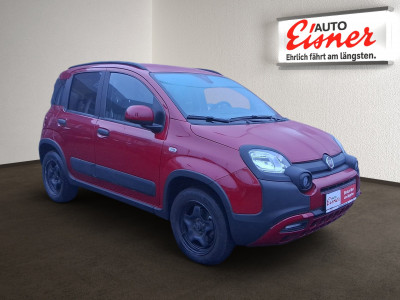 Fiat Panda Gebrauchtwagen