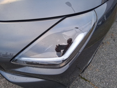 Suzuki Swift Gebrauchtwagen