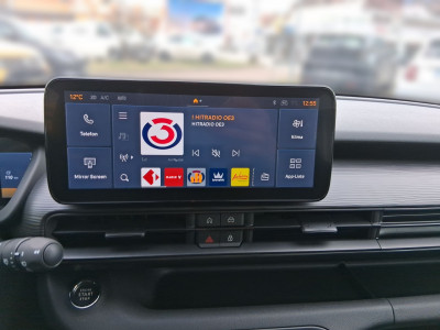 Jeep Avenger Gebrauchtwagen