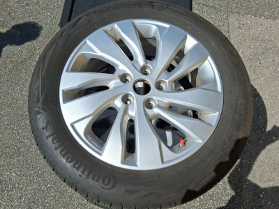 Suzuki S-Cross Gebrauchtwagen