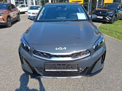 KIA XCeed Gebrauchtwagen KIA XCeed Gebrauchtwagen