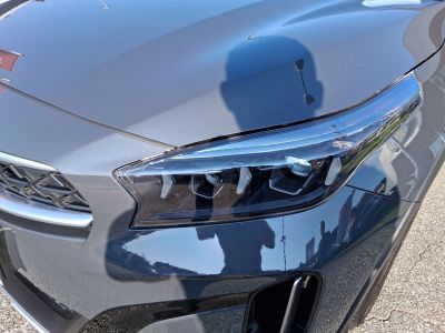 KIA XCeed Gebrauchtwagen KIA XCeed Gebrauchtwagen