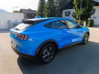Ford Mustang Mach-E Gebrauchtwagen Ford Mustang Mach-E Gebrauchtwagen