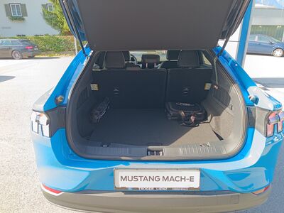 Ford Mustang Mach-E Gebrauchtwagen Ford Mustang Mach-E Gebrauchtwagen