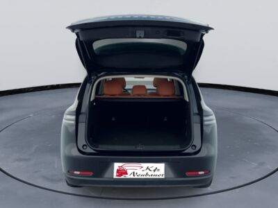 Leapmotor C10 Gebrauchtwagen