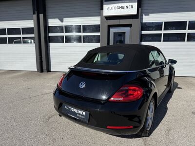 VW Beetle Gebrauchtwagen