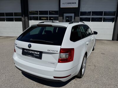 Skoda Octavia Gebrauchtwagen