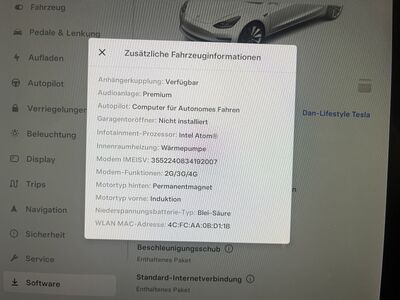 Tesla Model 3 Gebrauchtwagen