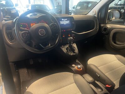 Fiat Panda Gebrauchtwagen