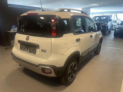 Fiat Panda Gebrauchtwagen Fiat Panda Gebrauchtwagen