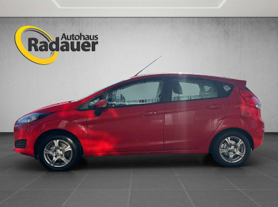 Ford Fiesta Gebrauchtwagen Ford Fiesta Gebrauchtwagen