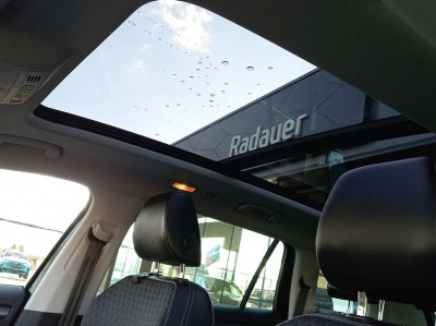 Skoda Kodiaq Gebrauchtwagen Skoda Kodiaq Gebrauchtwagen