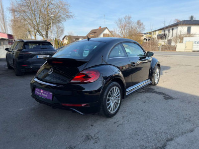 VW Beetle Gebrauchtwagen