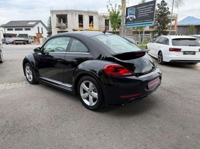 VW Beetle Gebrauchtwagen