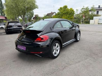 VW Beetle Gebrauchtwagen