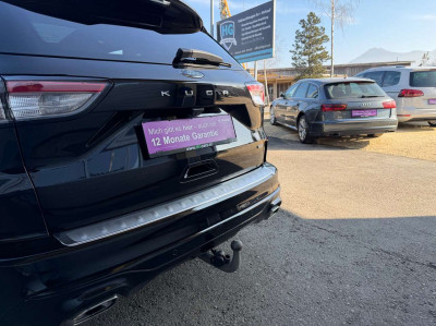 Ford Kuga Gebrauchtwagen