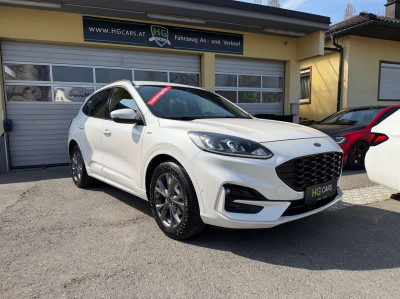 Ford Kuga Gebrauchtwagen