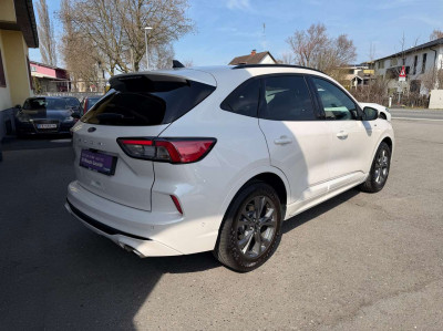 Ford Kuga Gebrauchtwagen