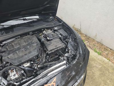 Cupra Leon Gebrauchtwagen