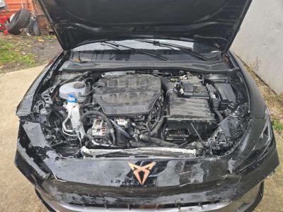 Cupra Leon Gebrauchtwagen