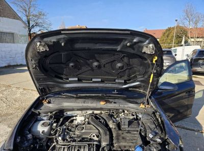 Cupra Leon Gebrauchtwagen Cupra Leon Gebrauchtwagen