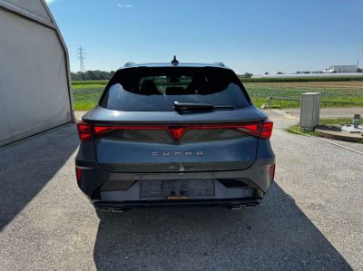 Cupra Leon Gebrauchtwagen