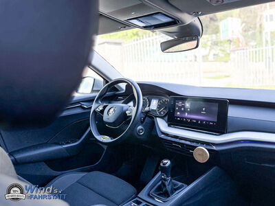 Skoda Octavia Gebrauchtwagen