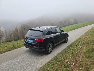 Audi Q5 Gebrauchtwagen Audi Q5 Gebrauchtwagen