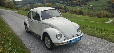VW Käfer Oldtimer VW Käfer Oldtimer