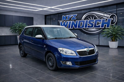 Skoda Fabia Gebrauchtwagen Skoda Fabia Gebrauchtwagen