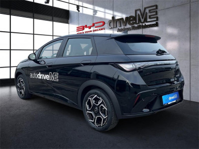 BYD Dolphin Vorführwagen