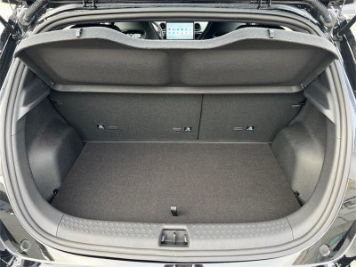 BYD Dolphin Vorführwagen