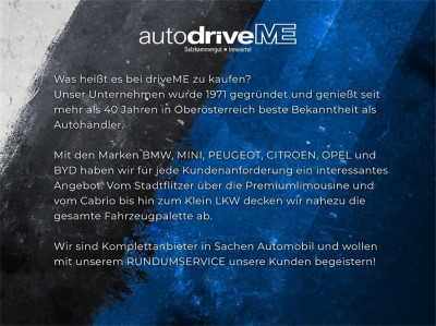 BYD Dolphin Neuwagen