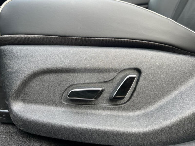 BYD Dolphin Neuwagen