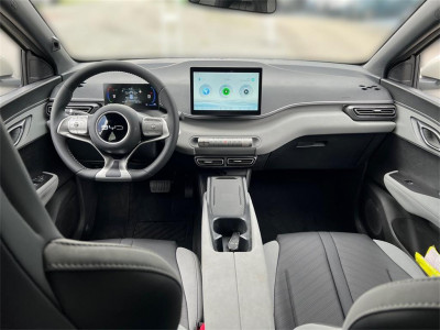 BYD Dolphin Surf Neuwagen