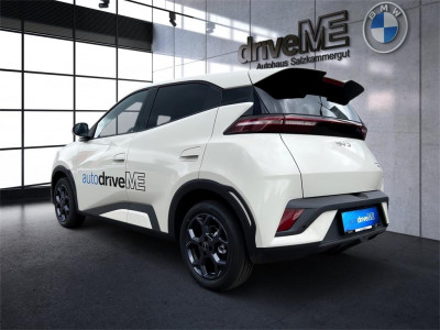 BYD Dolphin Surf Neuwagen