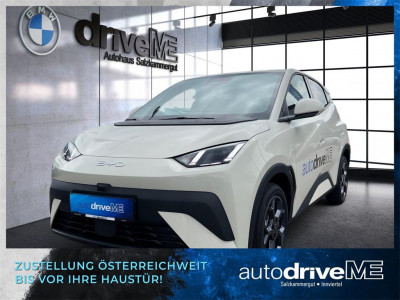 BYD Dolphin Surf Neuwagen