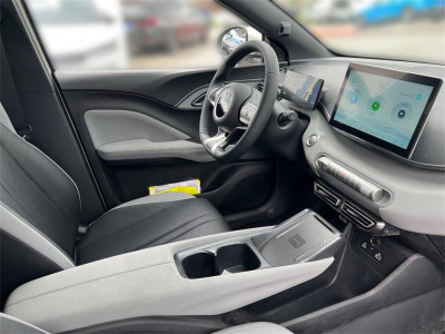 BYD Dolphin Surf Neuwagen