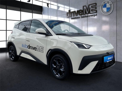 BYD Dolphin Surf Neuwagen