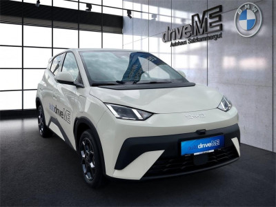 BYD Dolphin Surf Neuwagen