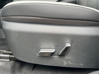 BYD Dolphin Surf Neuwagen