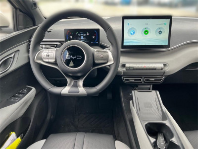 BYD Dolphin Surf Neuwagen