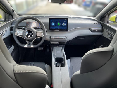 BYD Dolphin Surf Neuwagen