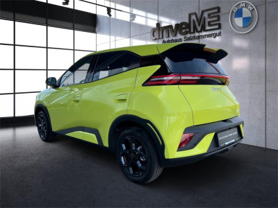 BYD Dolphin Surf Neuwagen