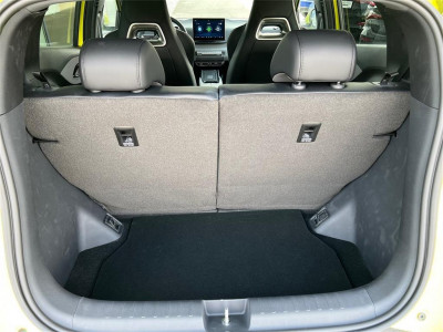 BYD Dolphin Surf Neuwagen