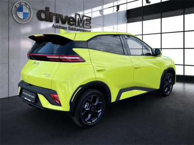 BYD Dolphin Surf Neuwagen