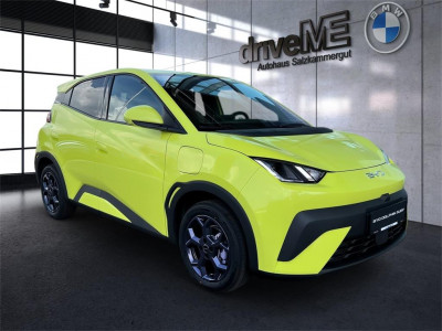 BYD Dolphin Surf Neuwagen